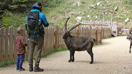 07_Erzberg Leoben_CMS.JPG