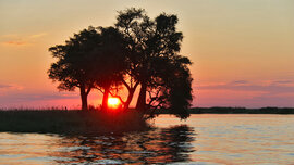 2017-05-28_Kasane_Chobe Safari Lodge_232_CMS.jpg