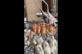 Fischmarkt mit unterschiedlichen toten Fischen.