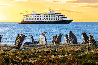 Pinguina am Ufer, dahinter die Stella Australis vor morgendlich orangem Himmel