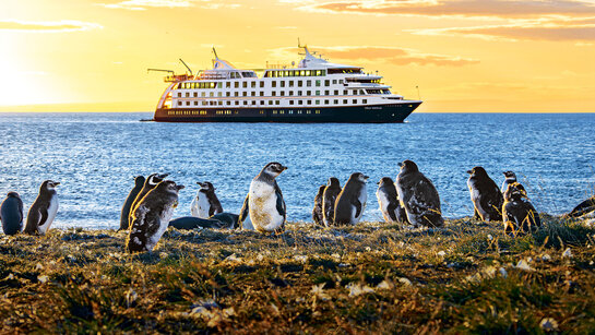 Pinguina am Ufer, dahinter die Stella Australis vor morgendlich orangem Himmel