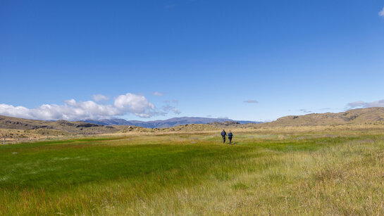 saftig grüne Hochebene mit zwei Wanderern