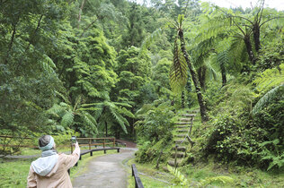  Eine Dame geht fotografierend durch eine Dschungelwelt aus meterhohen Farnen und moosbedeckten Felsen.