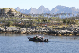 Ein Zodiak fährt entlang der Küste. Man sieht die Holzgestelle, auf denen der Stockfisch getrocknet wird. 
