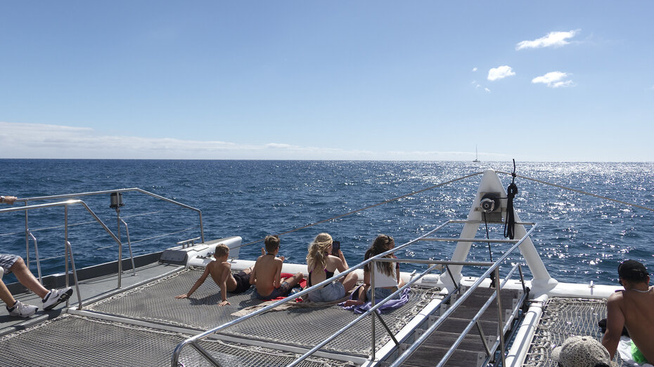 Blick auf den vorderen Bereich eines Katamarans auf Madeira.