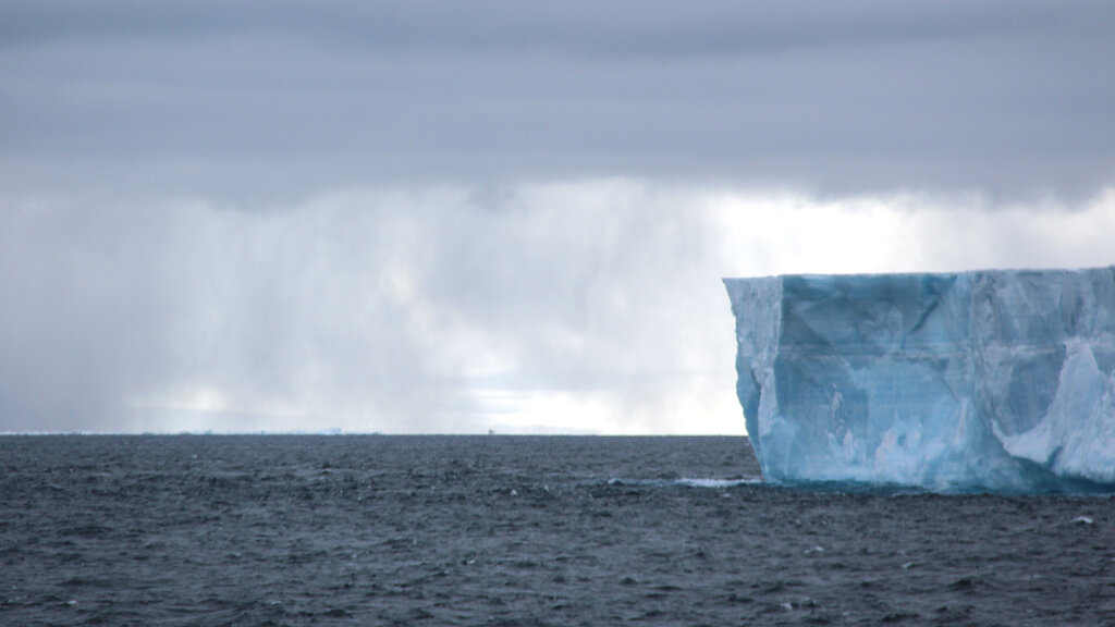AT_201402_Antarktis_Fotoshow_Fibich_21_CMS.jpg Roland Fibich