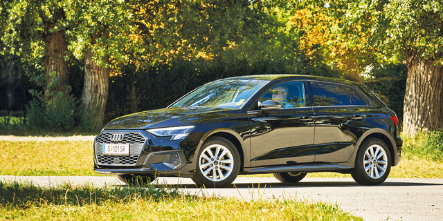 AUDI A3_er040_CMS.jpg Erich Reismann