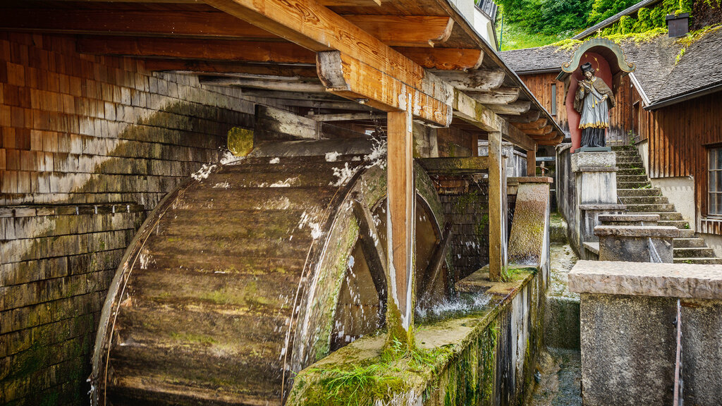 Almkanal_TSG_Stiftsbaeckerei_StPeter_119_CMS.jpg Tourismus Salzburg GmbH/G. Breitegger