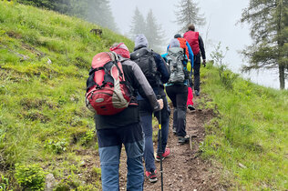 Anstieg im Nebel_al_CMS.JPG