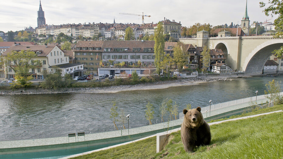 Bern_BearPark_1 cms.JPG
