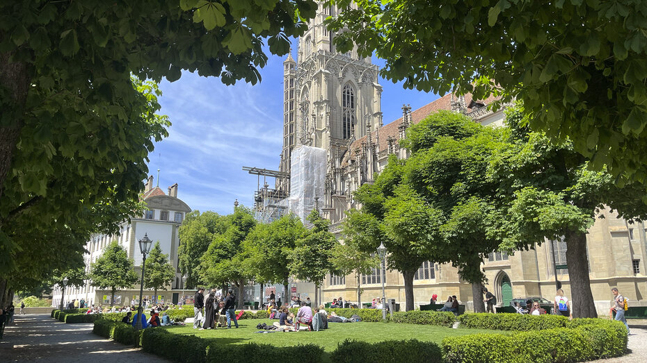Berner Münster mit Bäumen im Vordergrund.