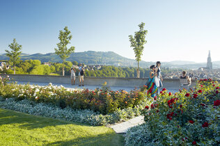 Rosengarten in Bern