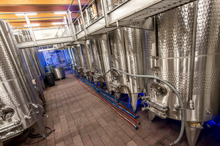 Bgld_Winzer Salzl_HEN6688_CMS.jpg