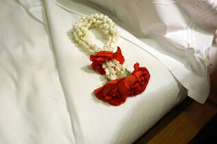 Gestern Abend im Abteil