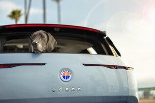 Fisker Ocean_08_c  Fisker Inc.jpg