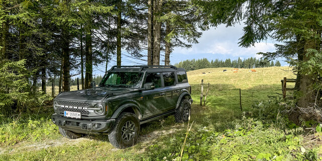 Ein grauer Geländewagen vor einer Almweide