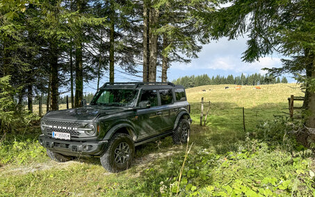 Ein grauer Geländewagen vor einer Almweide