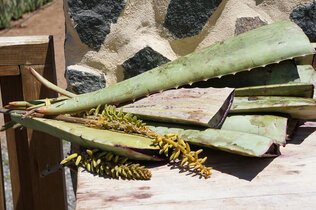 Gran Canaria_DSC04375_CMS.JPG