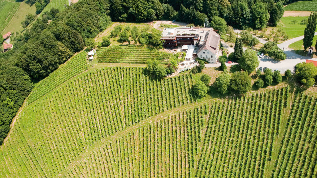 HarkampRiede Oberburgstall, halbe Größe_CMS.jpg Weingartenhotel Harkamp