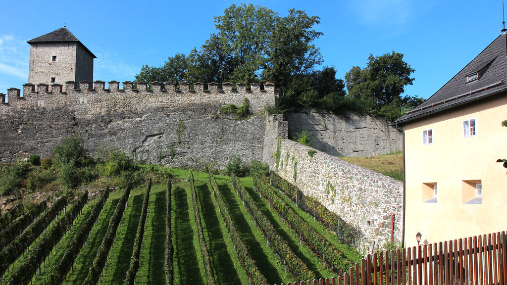 Hohensalzburg_Weingut_CMS.JPG Salzburg Tourismus GmbH