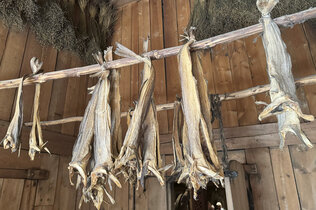 Der Stockfisch hängt zum Trocknen an einer Holzstange im Langhaus.