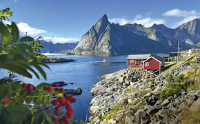 Blick auf Reine, Lofoten