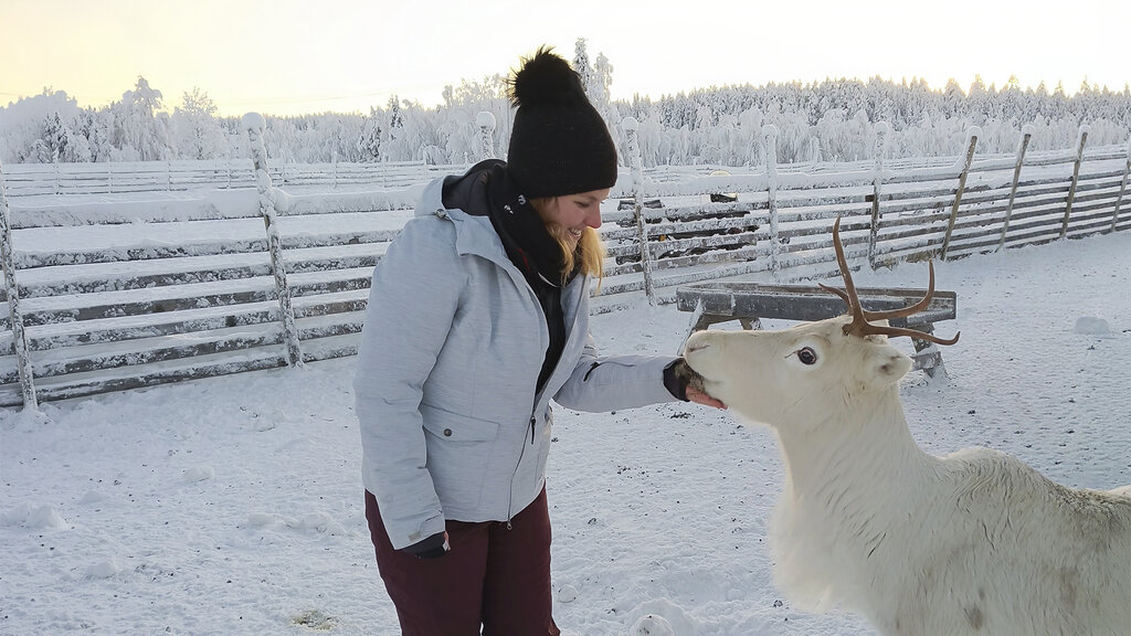 Katharina streichelt ein weißes Rentier im verschneiten Gehege.