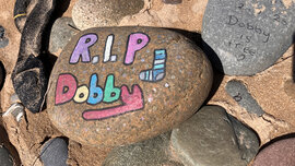 Ein von Fans bemalter Stein am geheimen Grab der Harry Potter-Figur "Dobby" auf dem Strand von Freshwater West in Wales.