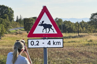 Verkehrszeichen: Vorsicht hier laufen Elche über die Straße. Eine Frau fotografiert das Schild.