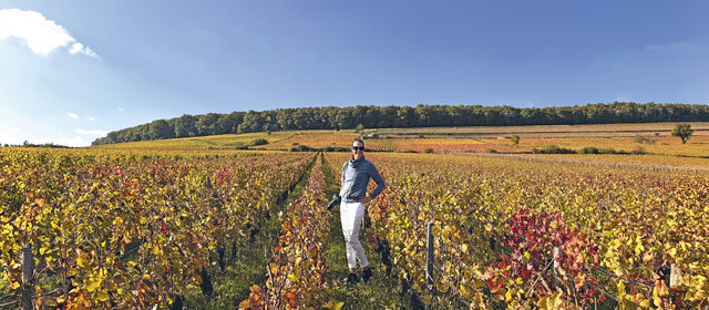 Eine Frau steht in den bunten Weinbergen im Burgund.