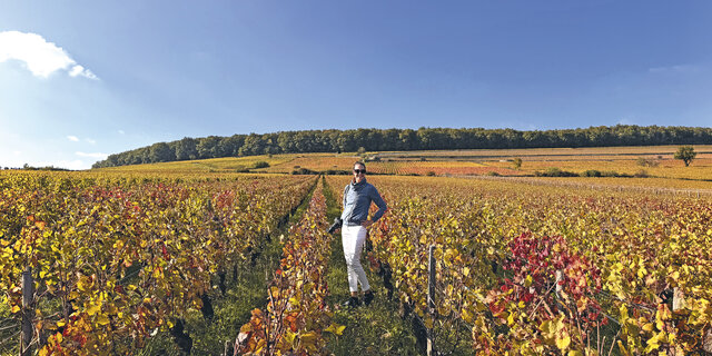 Eine Frau steht in den bunten Weinbergen im Burgund.