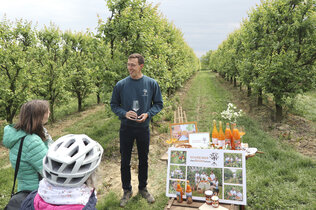             Ein Mann steht in den Marillengärten und erklärt.              