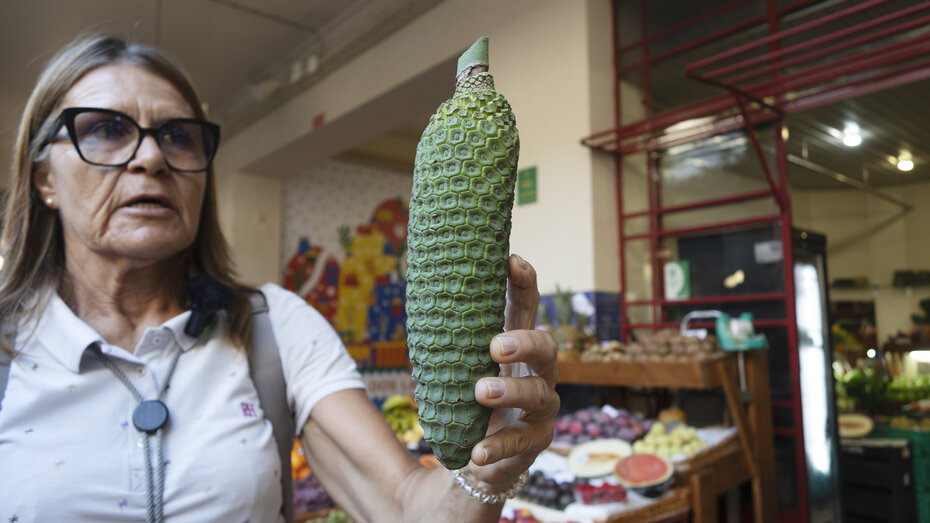 Die Monstera deliciosa. Sie ist grün und ähnelt optisch einem Tannenzapfen.