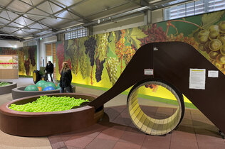 Spiel-Area im Museum mit Bällebad und Rutsche.