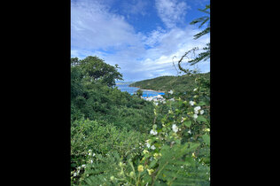 Zu sehen ist eine saftig grüne hügelige Landschaft, im Hintergrund eine Bucht bei strahlend sonnigem Wetter und blauem Himmel.