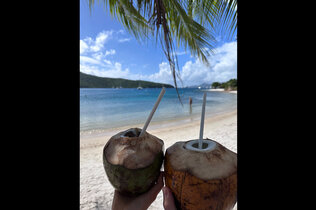 Im Vordergrund zwei Kokosnüsse in denen Strohhalme stecken und grüne Palmenwipfel, im Hintergrund ein paradiesischer Sandstrand mit klarem Wasser und blauem Himmel.