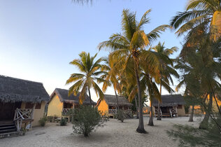Hotel-Hütten mit Palmen.