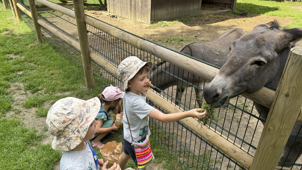 Drei kleine Kinder füttern zwei Esel.
