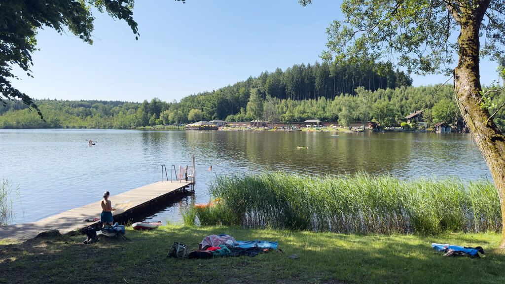 Ein Badesteg an einem See