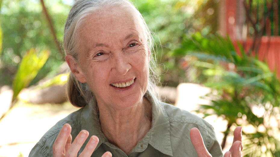 Jane Goodall denkt nicht ans Aufhören!