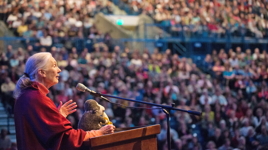 Jane Goodall hat eine Botschaft