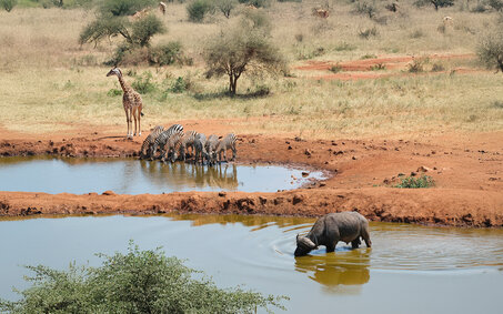 Kenia_1154_CS_CMS NEU Kopie.jpg