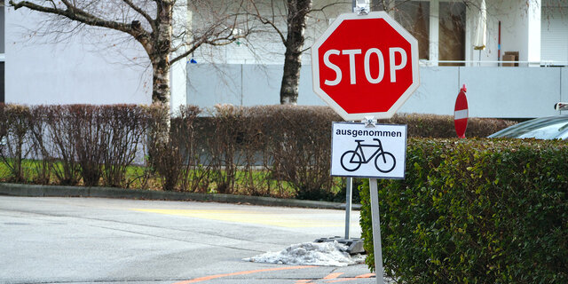 LuisZueggStr.Innsbruck–Werner Bankl_CMS.jpg Werner Bankl