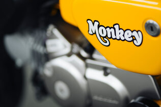 MonkeySuperCub_Monkey_Logo_CMS.jpg