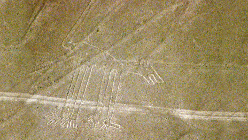 Nazca_lineas_perro_Wikipedia_CMS.jpg Wikipedia