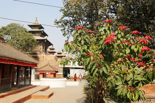 Nepal_3B3A1263 Kopie.JPG
