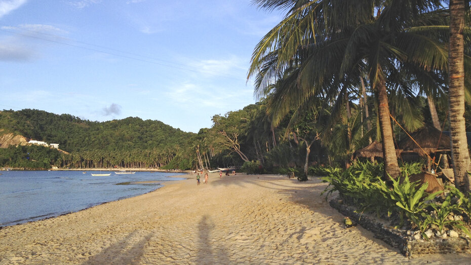 Ein brauner, feiner Sandstrand mit Palmen auf Palawan. 
