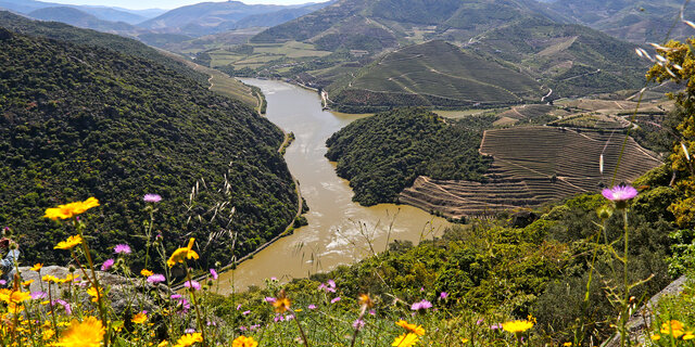 Portugal_Douro_Flusskreuzfahrt_2016_05_FIB_023_CMS.jpg Roland Fibich/auto touring