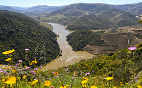 Portugal_Douro_Flusskreuzfahrt_2016_05_FIB_023_CMS.jpg Roland Fibich/auto touring