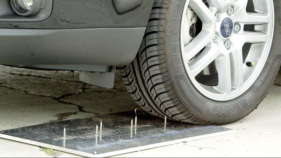 Protectis Nagelbrett_CMS.jpg